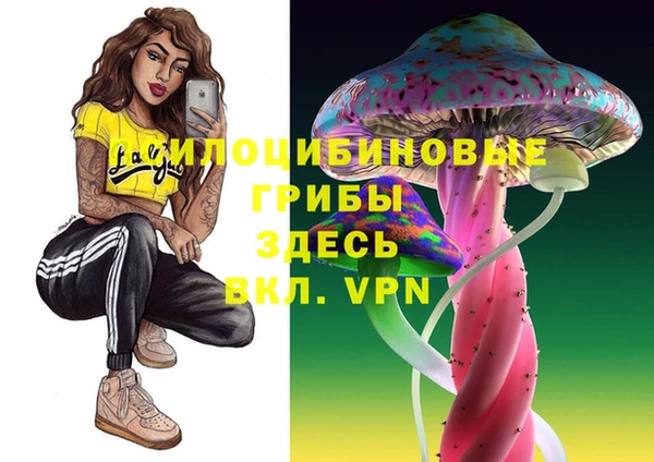 дурь Рославль