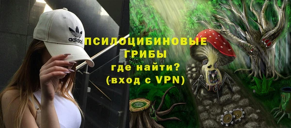 дурь Рославль