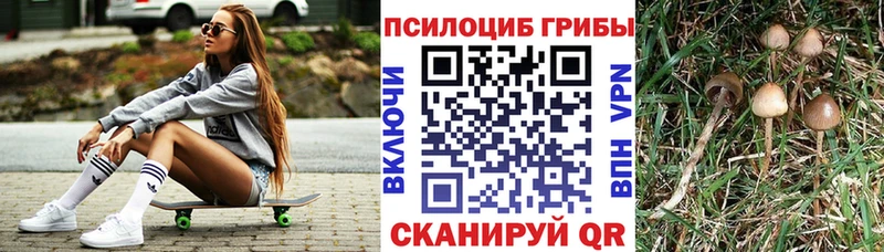 Псилоцибиновые грибы MAGIC MUSHROOMS  Будённовск 